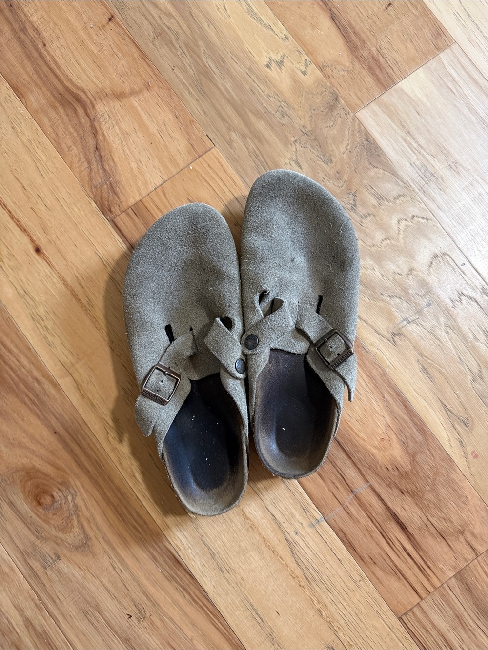 Suede Slip-On Buckle Clogs in Taupe